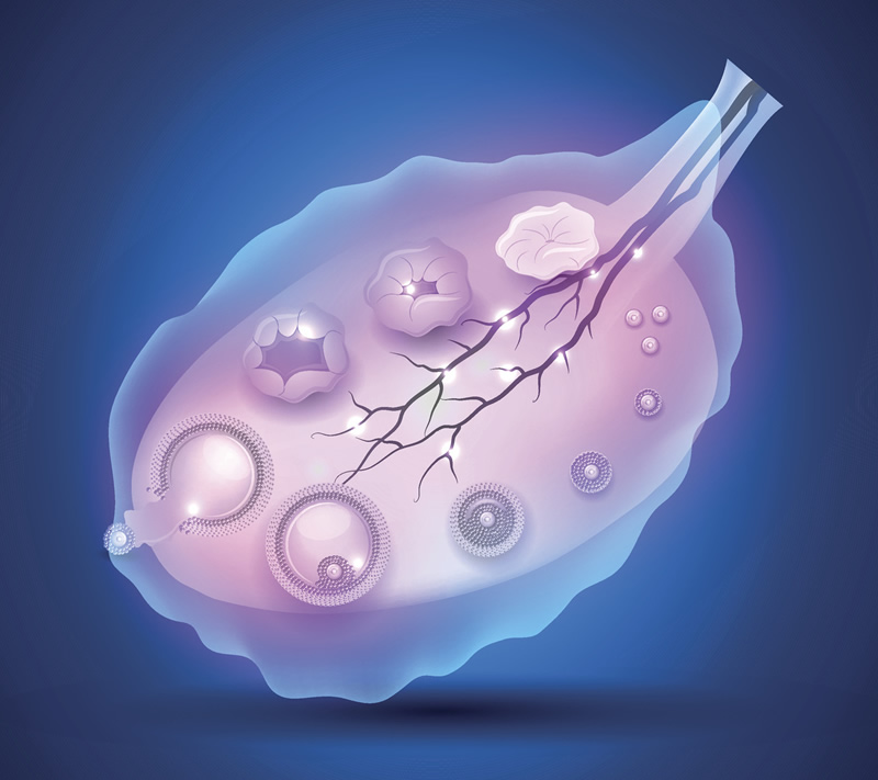 广州失庭做试管婴儿医院精选：中山一院、广医三院等五家实力与口碑兼备的医院深度解析